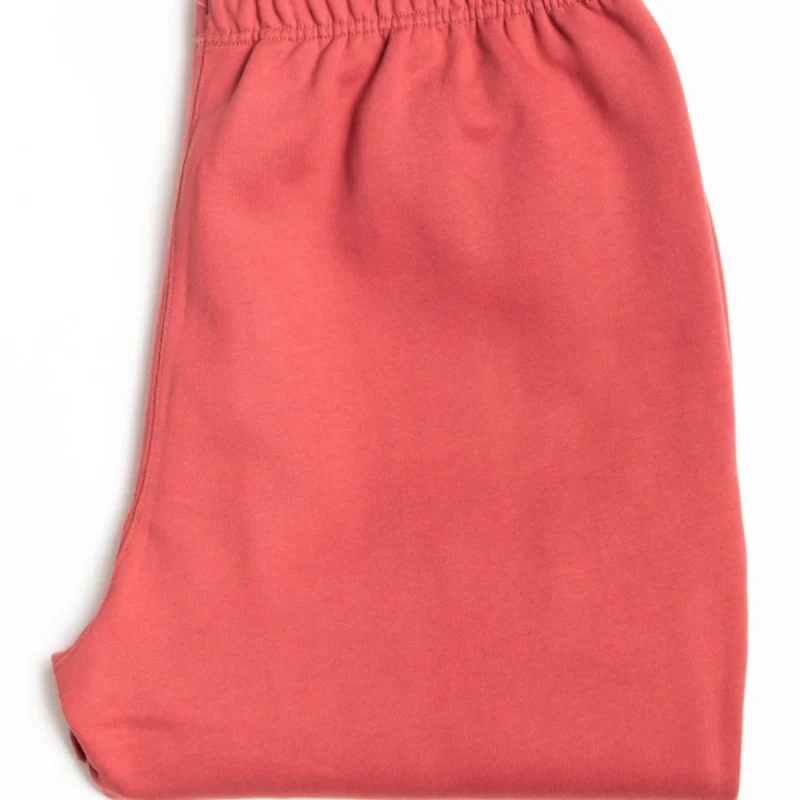 picture of lab NRG Solo Swoosh Fleece Pant